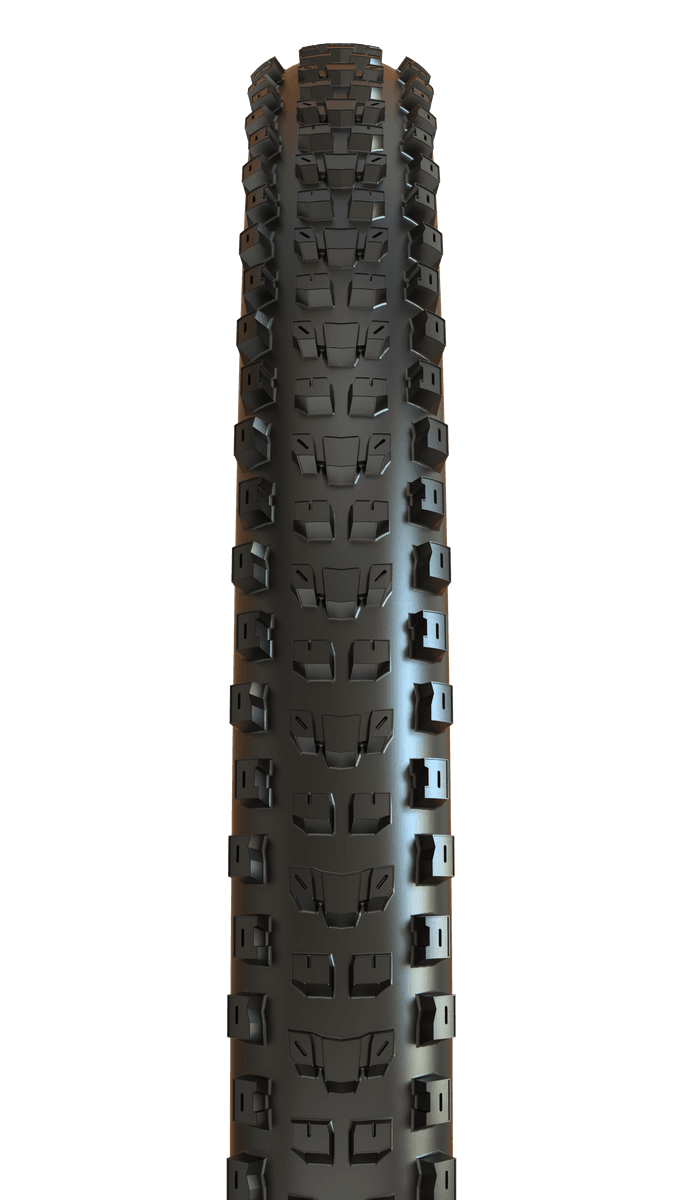 Maxxis Dissector 29